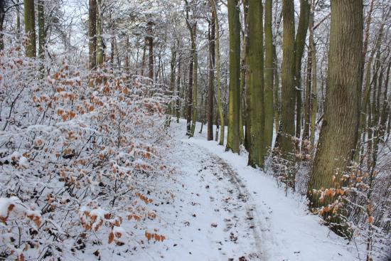 Kąpiele w morzu